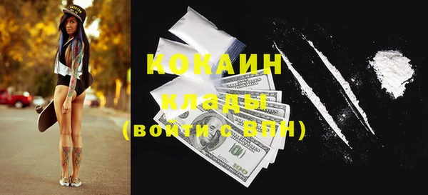 сатива Козловка