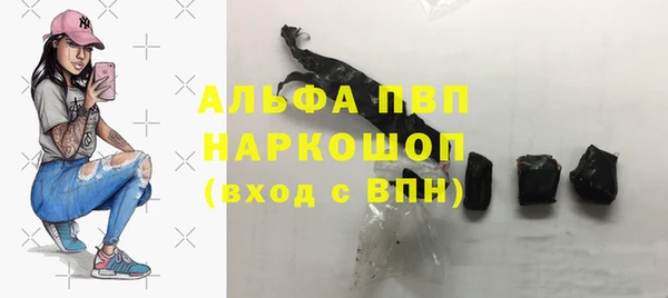 сатива Козловка