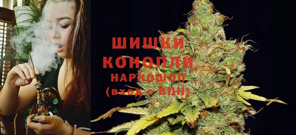 spice Козельск