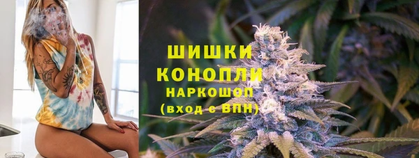 сатива Козловка