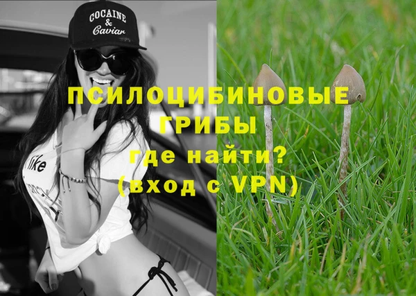молекула духа Кирс