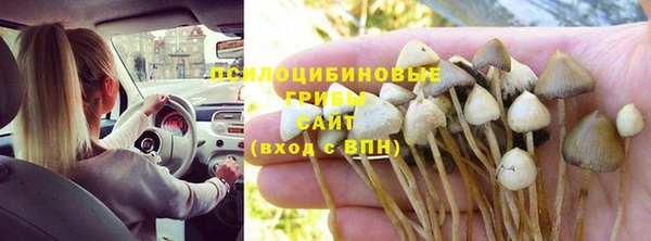 прущий лед Кирсанов