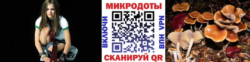 Галлюциногенные грибы Magic Shrooms  где купить наркоту  Курчатов 